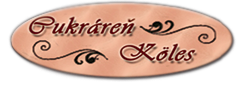logo dark
